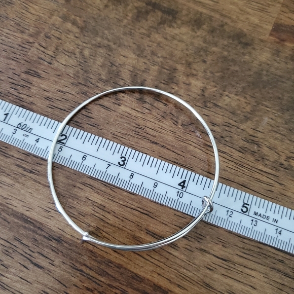 Stainless Steel Chatm Bangle 3 Colors Available - Picture 7 of 7